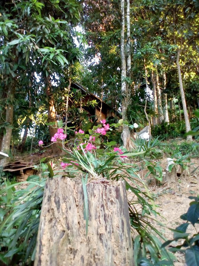 ไนซ์ วิว บังกะโล เกาะช้าง ระนอง ภายนอก รูปภาพ