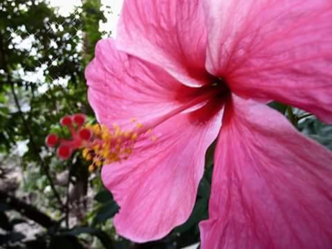 ไนซ์ วิว บังกะโล เกาะช้าง ระนอง ภายนอก รูปภาพ